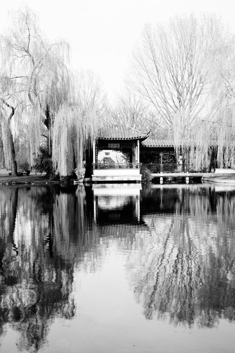 Ein ruhiger Wasserlauf mit einem Holzhaus und spiegelndem Uferbewuchs in Schwarz-Weiß.
